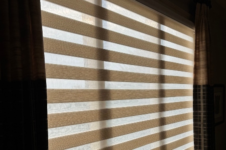 Zebra Shades